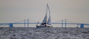 Read more about the article Recreational Boat Collisions With Barges